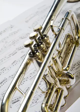 Kostenübersicht der Bläserklasse